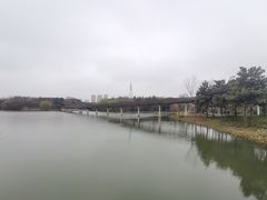 -昆山城市生态森林公园