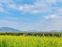 -光明小镇欢乐田园