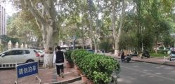 -河南中医药大学第一附属医院-医疗整形