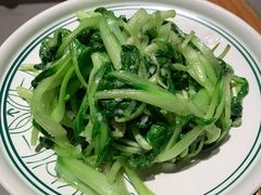 鸡毛菜-云海肴·汽锅鸡·云南菜(高德置地店)