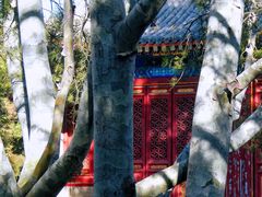 -大钟寺古钟博物馆