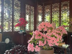 -上海醉白池公园