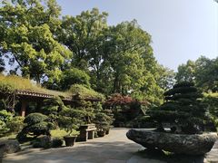 -南山植物园
