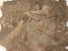 -北京大学赛克勒考古与艺术博物馆