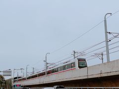 -海堤纪念公园