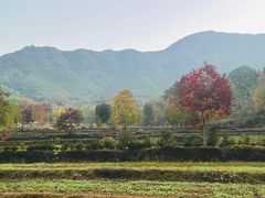 -塔川景区
