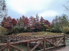 -上海野生动物园