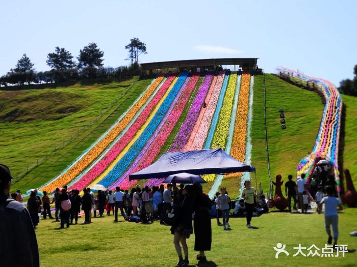 衢州飛鴻滑草場圖片