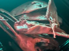 -斯卡拉演艺集团