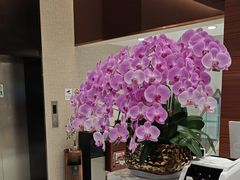 -TSK齿科德申会口腔门诊·联洋诊所