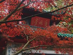 -岳麓山风景名胜区