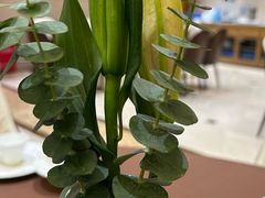 -湖北三五醇酒店·35年新楚菜