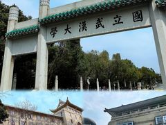 -武汉大学-樱园