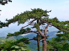 -罗田薄刀峰风景区