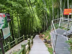 -藏龙百瀑风景区