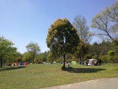 -崇明东平国家森林公园烧烤房车露营地