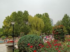 -睦南公园