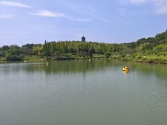 -宜兴龙背山森林公园