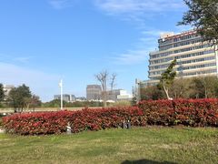 -南汇新城城市公园