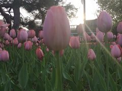 -长春公园(普阳街道)