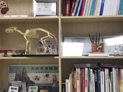 -创凡宠物医院·骨专科  猫科中心(西乡分院)