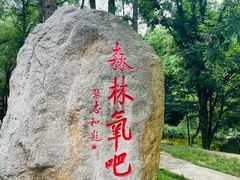 -洛阳白云山景区