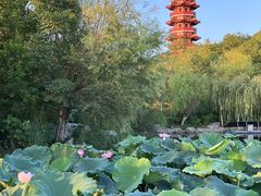 -云龙湖旅游景区