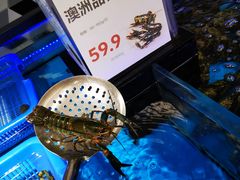 澳洲小龙虾-盒马鲜生(岭南新世界店)