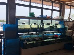 -海尚韵舍海景餐厅(朱家尖店)
