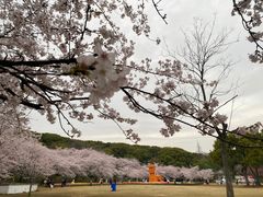 -苏州上方山国家森林公园