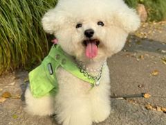 -荔康动物医院(康王北路店)