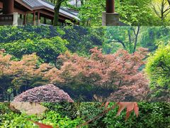 -岳麓山风景名胜区