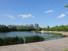 -新江湾城公园