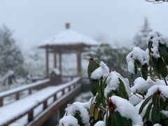 -硗碛藏寨·神木垒景区