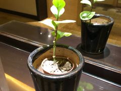 -上海富豪东亚酒店(零陵路店)
