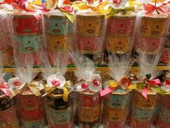 -Bengawan Solo(Changi Airport Terminal 2)