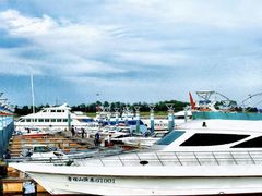 -巧克力渔家.小船海鲜胶东菜(万平口店)