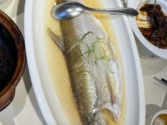 -席家花园(巨鹿花园店)