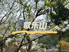 -李子坝梁山鸡(李子坝大鸡哥店)