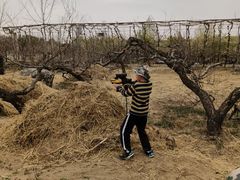 -亲兄弟真人CS团建拓展基地