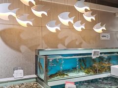 -盒马鲜生(枣园路店)