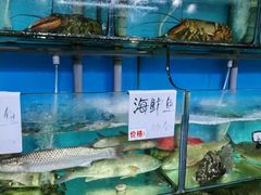-西湖鱼小海鲜·杭帮菜·农家菜(断桥店)