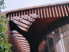 -大望京公园