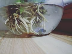 -宝鸡东道花鸟鱼虫市场(吉利花园商场店)