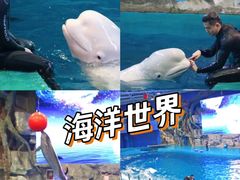 -威海华夏城景区