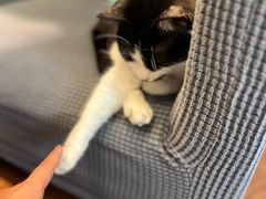 -LouisTime路易时光(蕴川路店)