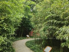 -望江楼公园
