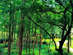 -解香楼(八盘岭路店)