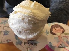 -野人牧坊Gelato(天津南开大悦城店)