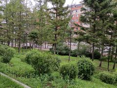 -长春市南湖公园